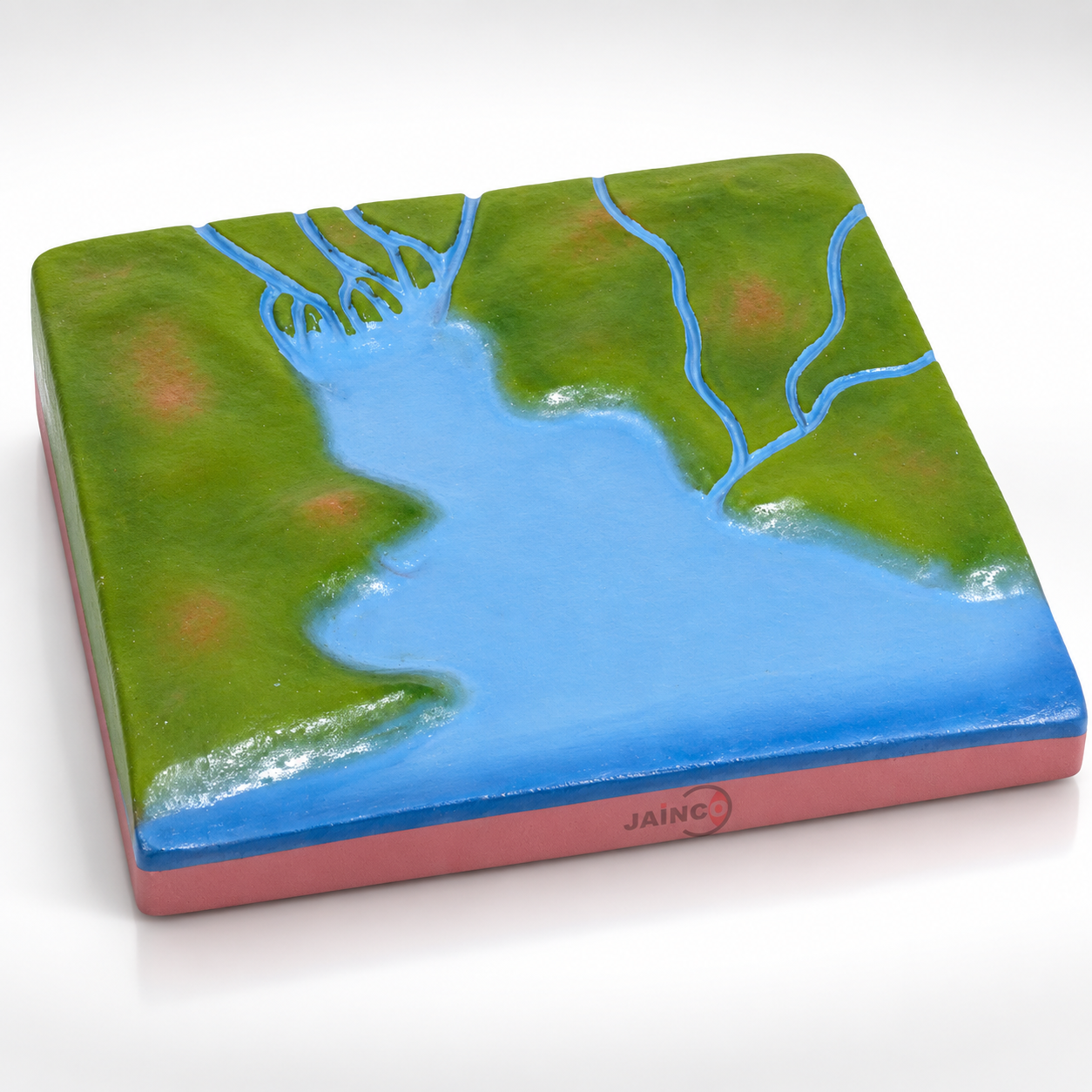 Estuary Model